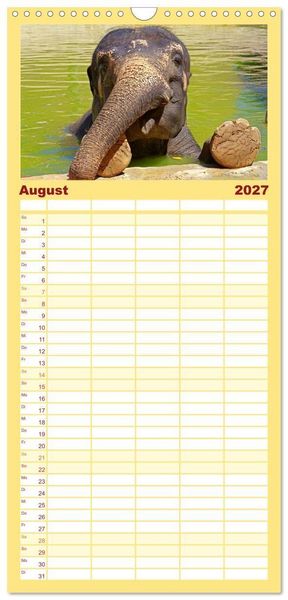 Produktbild: Familienplaner 2027 - Elefanten. Spa&szlig; am Wasser mit 5 Spalten (Wandkalender, 21 x 45 cm) CALVENDO