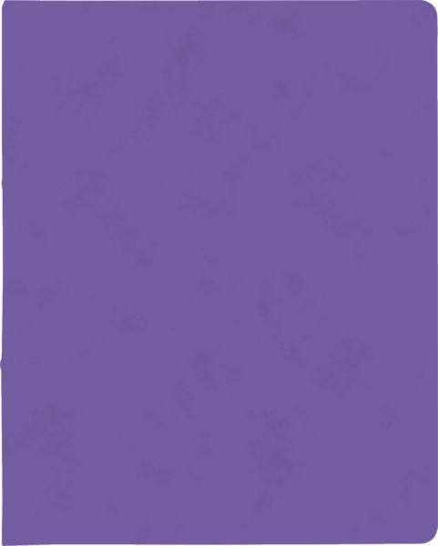 Produktbild: Brunnen Ringbuch FACT!plus &brvbar; A4, 2 Ringe, F&uuml;llh&ouml;he: 15 mm, violett
