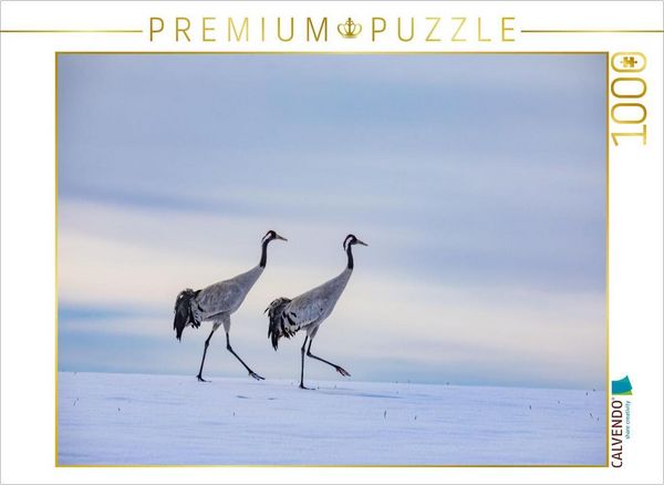 Produktbild: CALVENDO Puzzle Winterspaziergang der Kraniche auf verschneitem Feld | 1000 Teile Lege-Gr&ouml;&szlig;e 64x48cm Foto-Puzzle f&uuml;r gl&uuml;ckliche Stunden