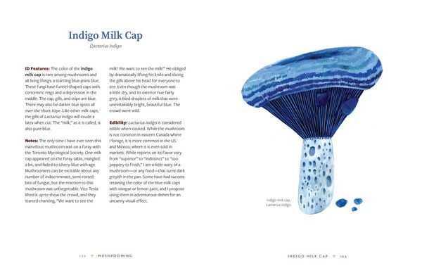 Produktbild: Mushrooming