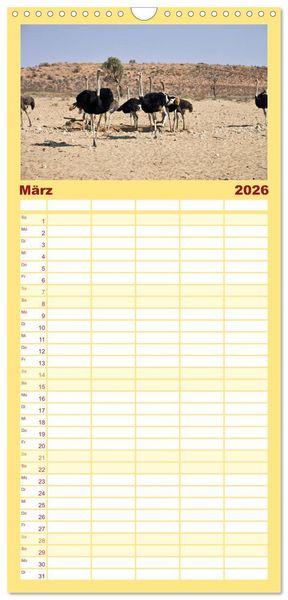 Produktbild: Familienplaner 2026 - Kgalagadi - Fauna und Wildtiere in der Kalahari mit 5 Spalten (Wandkalender, 21 x 45 cm) CALVENDO