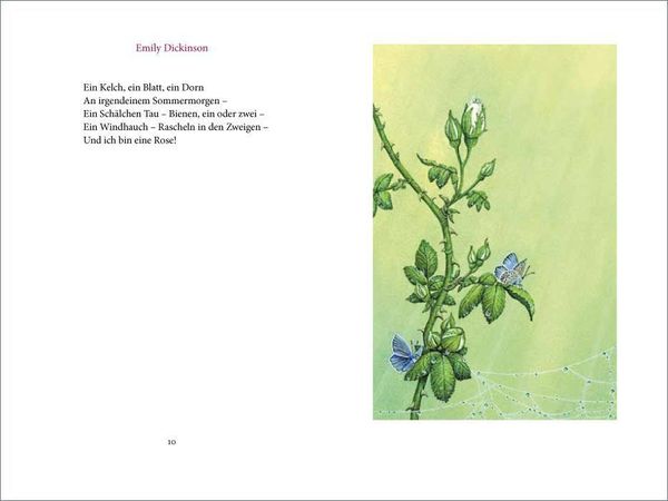 »Ich wollt' dein Bett mit einer Rose schmücken«