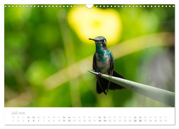 Produktbild: Trauminsel Cura&ccedil;ao (Wandkalender 2026 DIN A3 quer), CALVENDO Monatskalender