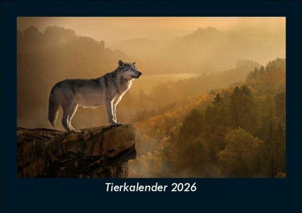 Tierkalender 2026 Fotokalender DIN A5