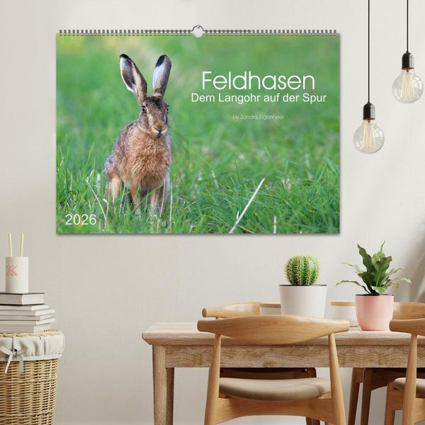 Produktbild: Feldhasen - dem Langohr auf der Spur (Wandkalender 2026 DIN A2 quer), CALVENDO Monatskalender