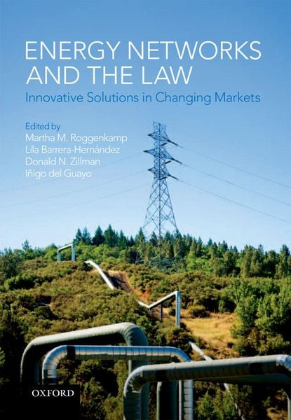 Produktbild: Energy Networks and the Law