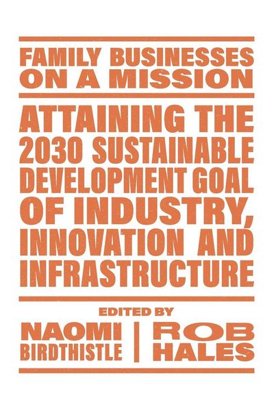 Produktbild: Attaining the 2030 Sustainable Development Goal of Industry, Innovation and Infrastructure