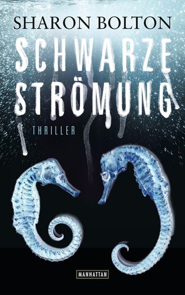 Produktbild: Schwarze Str&ouml;mung - Lacey Flint 4