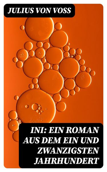 Produktbild: Ini: Ein Roman aus dem ein und zwanzigsten Jahrhundert
