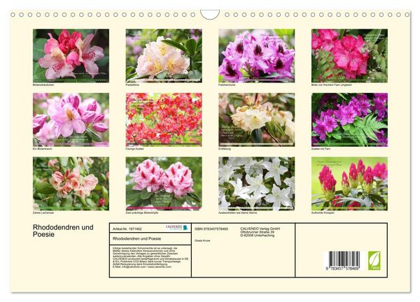 Produktbild: Rhododendren und Poesie (Wandkalender 2026 DIN A3 quer), CALVENDO Monatskalender