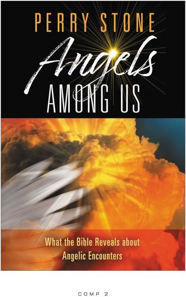 Produktbild: Stone, P: Angels Among Us