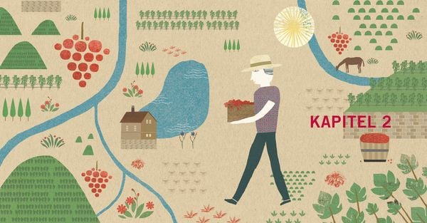 Produktbild: Crashkurs Wein