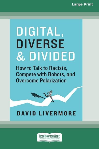 Produktbild: Digital, Diverse & Divided