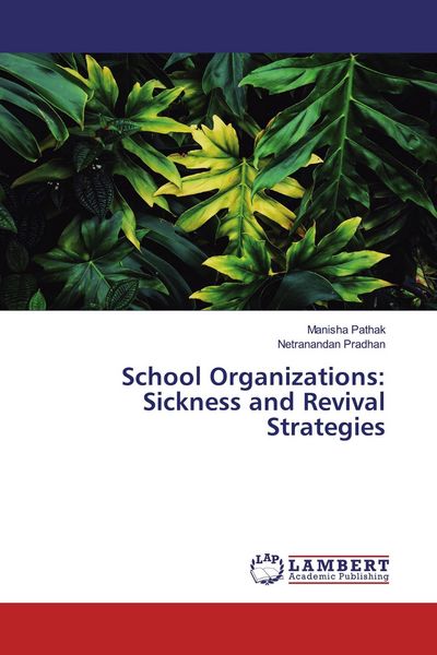 Produktbild: School Organizations: Sickness and Revival Strategies