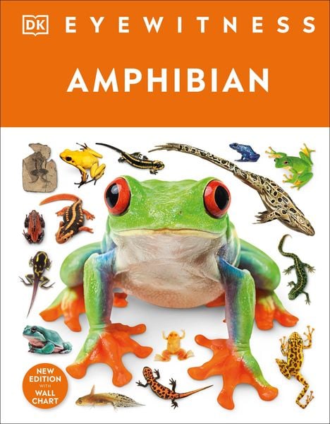 Produktbild: Eyewitness Amphibian