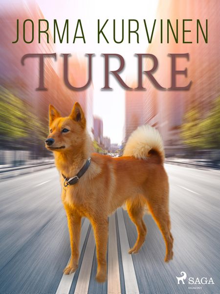 Produktbild: Turre