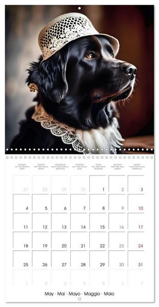 Produktbild: Kleemann, C: Dogs with matching hats (Wall Calendar 2026 12