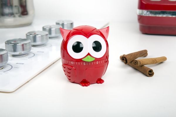 Kitchen Timer Owlet