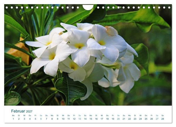 Produktbild: S&uuml;dsee-Insel Huahine - Paradies am Ende der Welt (Wandkalender 2027 DIN A4 quer), CALVENDO Monatskalender