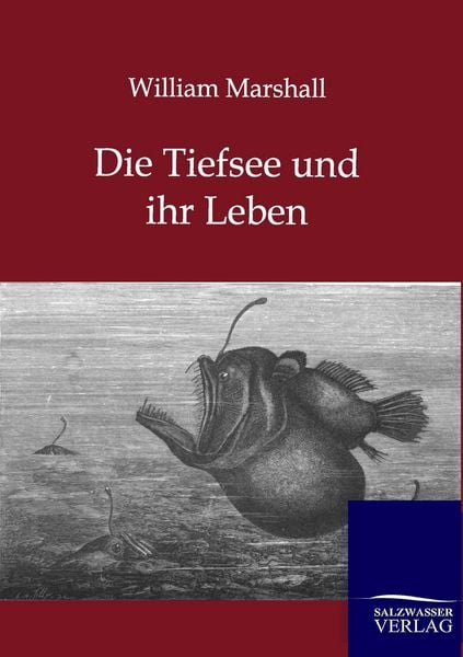 Produktbild: Die Tiefsee und ihr Leben