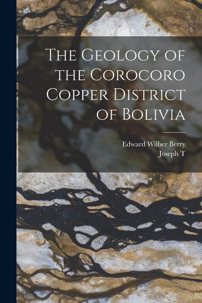 Produktbild: The Geology of the Corocoro Copper District of Bolivia