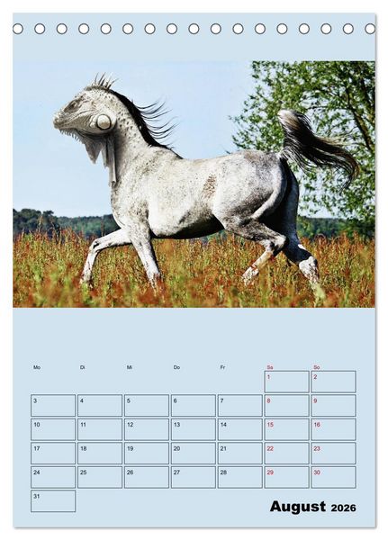 Produktbild: Seltsame Tiere - da stimmt doch was nicht... (Tischkalender 2026 DIN A5 hoch), CALVENDO Monatskalender