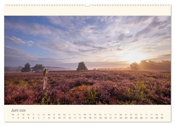 Produktbild: Mehlinger Heide (Wandkalender 2026 DIN A2 quer), CALVENDO Monatskalender