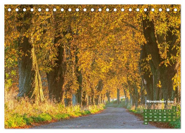 Produktbild: Alleen: Der Weg ist das Ziel (Tischkalender 2026 DIN A5 quer), CALVENDO Monatskalender