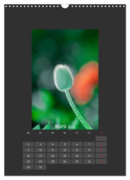Produktbild: Mohn (Wandkalender 2026 DIN A3 hoch), CALVENDO Monatskalender