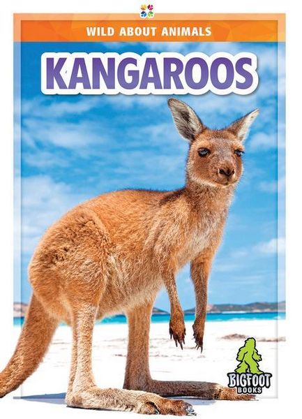 Produktbild: Kangaroos
