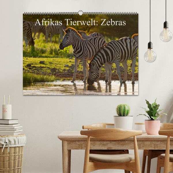 Produktbild: Afrikas Tierwelt: Zebras (Wandkalender 2026 DIN A2 quer), CALVENDO Monatskalender