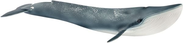 Schleich - Wild Life - Blauwal