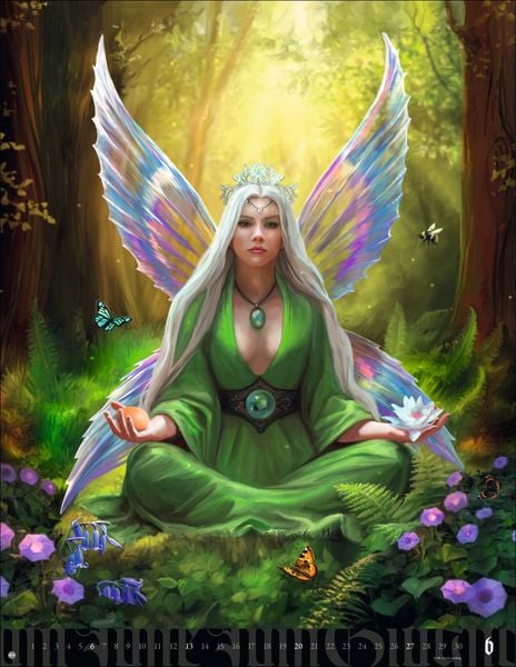 Produktbild: Anne Stokes: Mystic World Posterkalender 2027