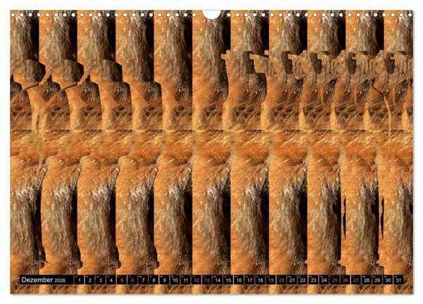 Produktbild: Magische Bilder - Stereogramme und 3D-Illusionen (Wandkalender 2026 DIN A3 quer), CALVENDO Monatskalender
