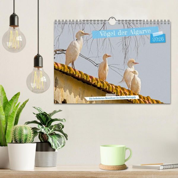 Produktbild: V&ouml;gel der Algarve (Wandkalender 2026 DIN A4 quer), CALVENDO Monatskalender