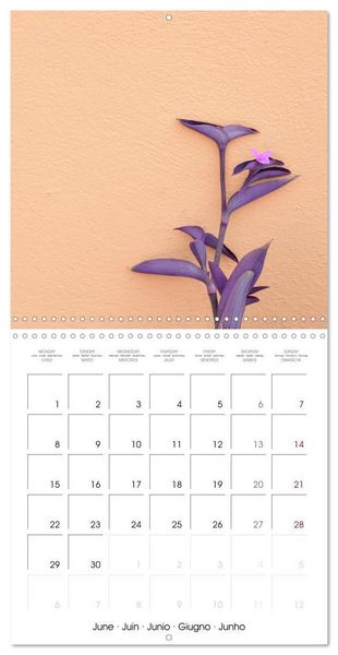 Produktbild: Leaves and flowers of Burano (Wall Calendar 2026 12 &times; 12 Inch) CALVENDO 12 Month Wall Calendar