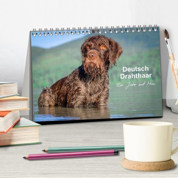 Produktbild: Deutsch Drahthaar - Ein Jahr mit Max (Tischkalender 2026 DIN A5 quer), CALVENDO Monatskalender