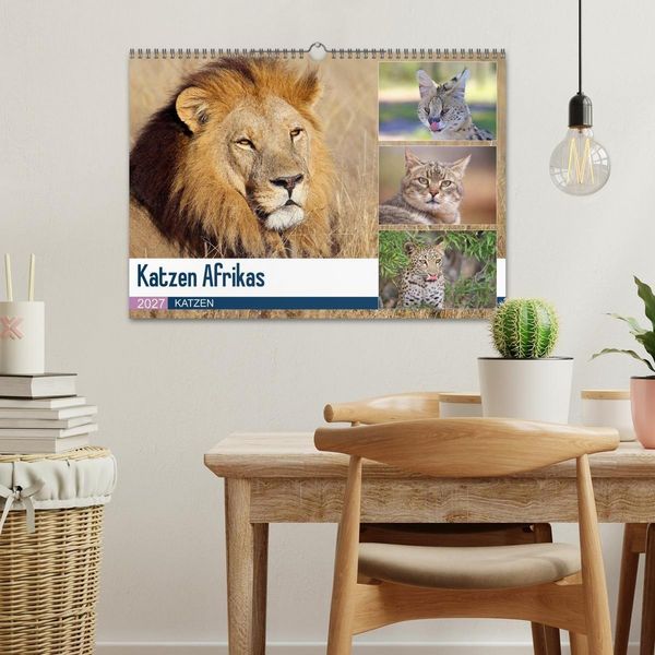 Produktbild: Katzen Afrikas (Wandkalender 2027 DIN A3 quer), CALVENDO Monatskalender
