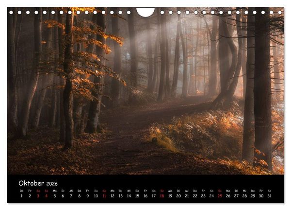 Produktbild: Faszination Morgenlicht (Wandkalender 2026 DIN A4 quer), CALVENDO Monatskalender