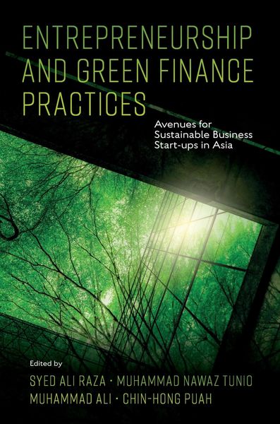 Produktbild: Entrepreneurship and Green Finance Practices