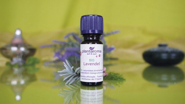 Produktbild: Lavendel BIO 100% naturreines &auml;th.&Ouml;l 10ml