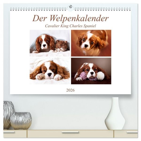 Produktbild: Der Welpenkalender - Cavalier King Charles Spaniel (hochwertiger Premium Wandkalender 2026 DIN A2 quer), Kunstdruck in Hochglanz