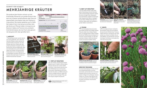 Produktbild: Kleiner Garten - gro&szlig;e Ernte