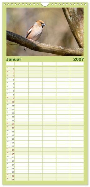 Produktbild: Familienplaner 2027 - Der Kernbei&szlig;er und seine gefiederten Gesellen mit 5 Spalten (Wandkalender, 21 x 45 cm) CALVENDO
