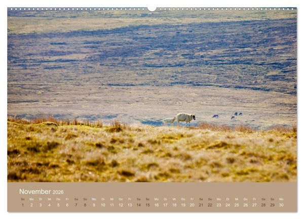 Produktbild: Unter Schafen - Wegbegleiter auf Reisen (Wandkalender 2026 DIN A2 quer), CALVENDO Monatskalender