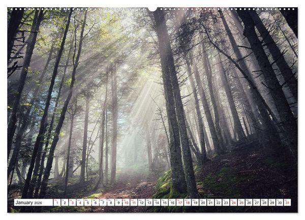 Produktbild: Hiking the GR 10 A long distance trail through the French Pyrenees (High Quality Premium Wall Calendar 2026 DIN A2 landscape),CALVENDO 12 Month Wall C