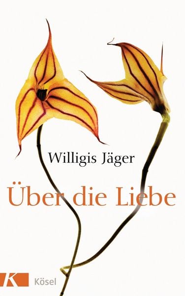 Produktbild: &Uuml;ber die Liebe