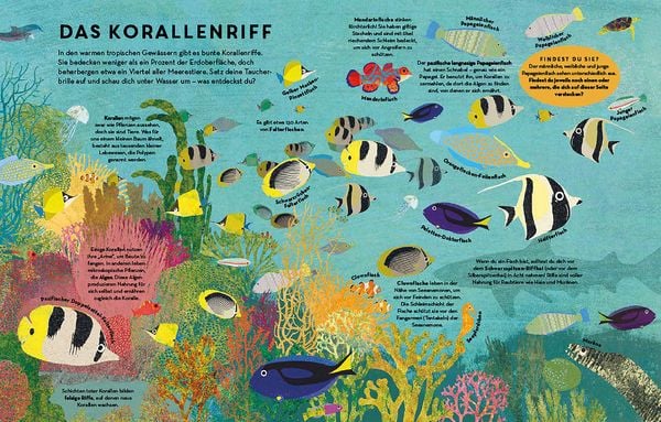 Produktbild: Fische, Fische &uuml;berall