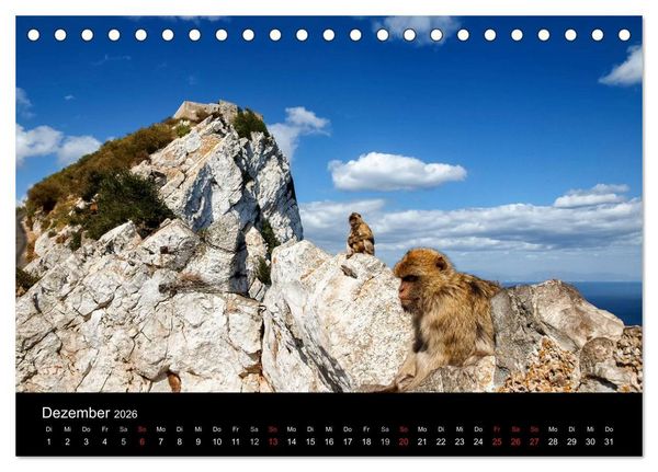Produktbild: Gibraltar - der Affenfelsen (Tischkalender 2026 DIN A5 quer), CALVENDO Monatskalender