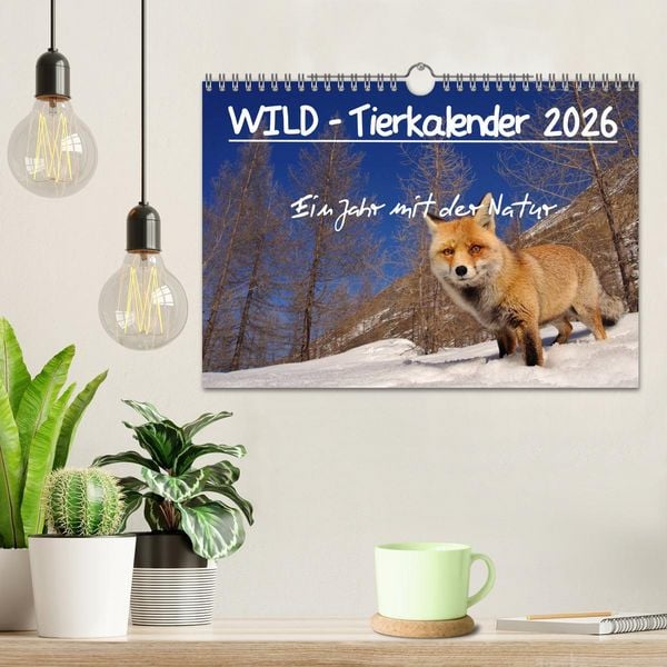 Produktbild: WILD - Tierkalender 2026 (Wandkalender 2026 DIN A4 quer), CALVENDO Monatskalender